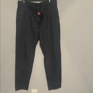 Banana Republic Dark Blue Chinos